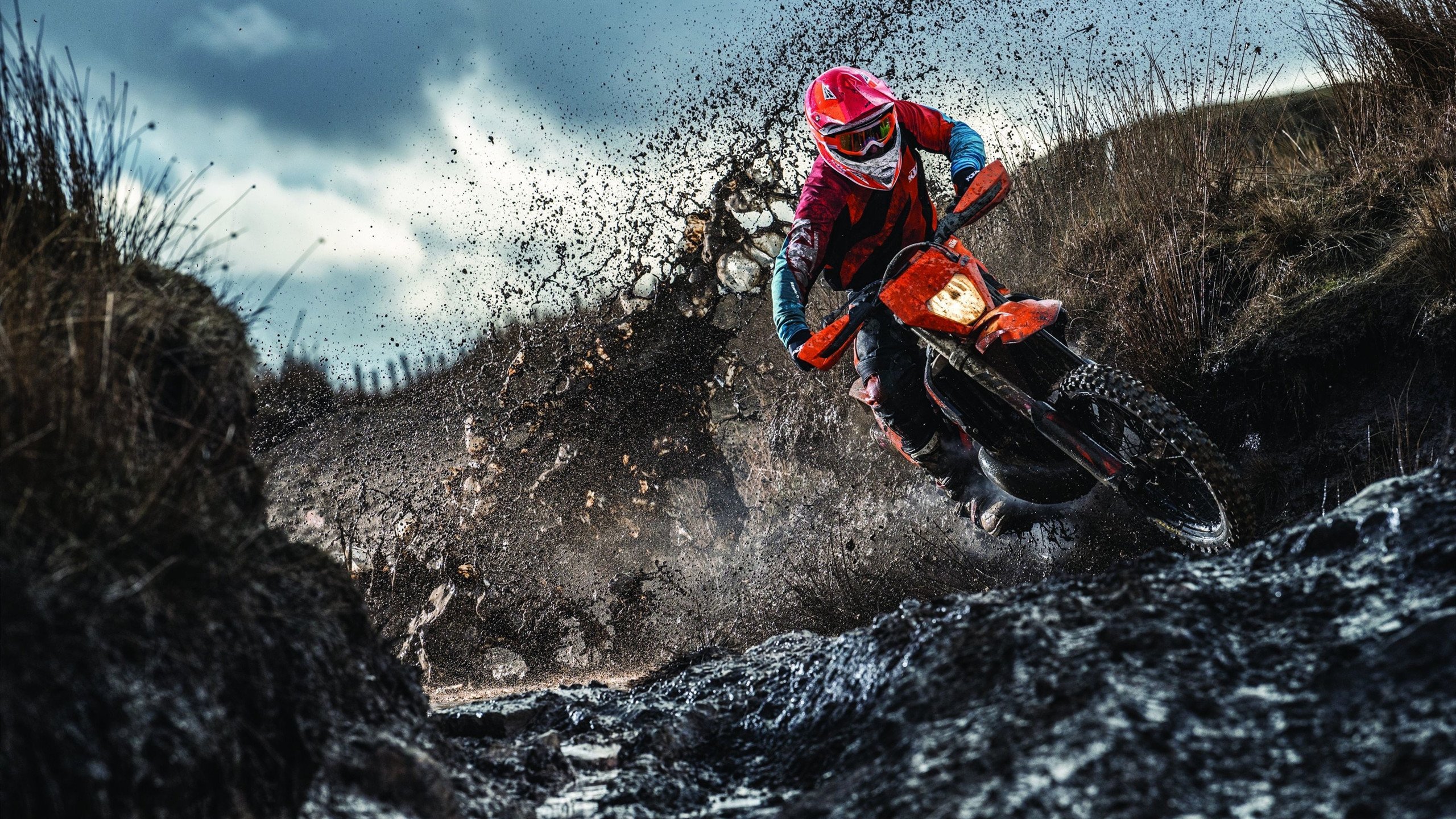 starsky sports直播-巴西青训体系持续升级，新一代足球天才涌现